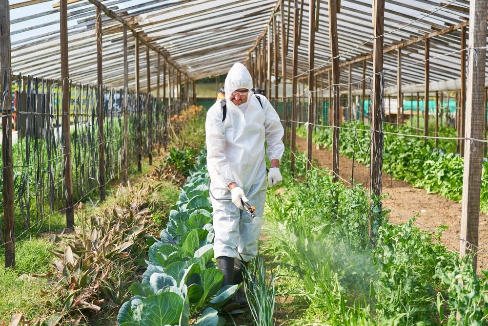 الالتزام بالمعايير البيئية في القطاع الزراعي